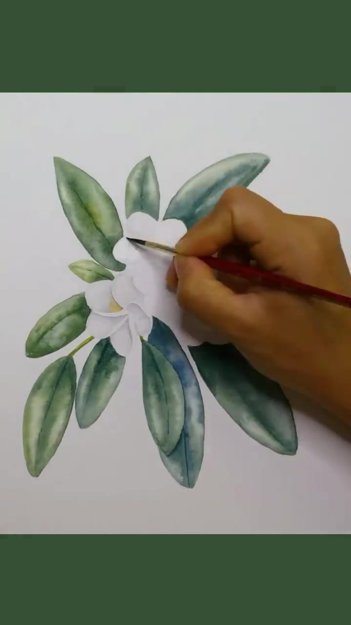 水彩花卉过程,鸡蛋花