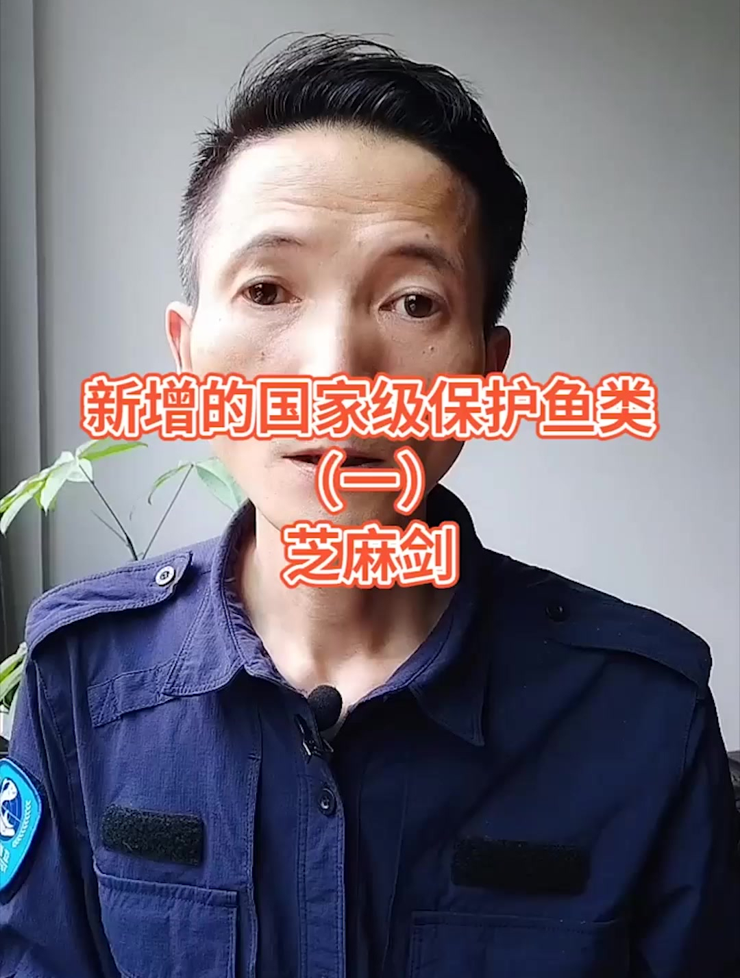 第1集|科普(收藏)最新的国家及保护鱼类:芝麻剑 钓鱼