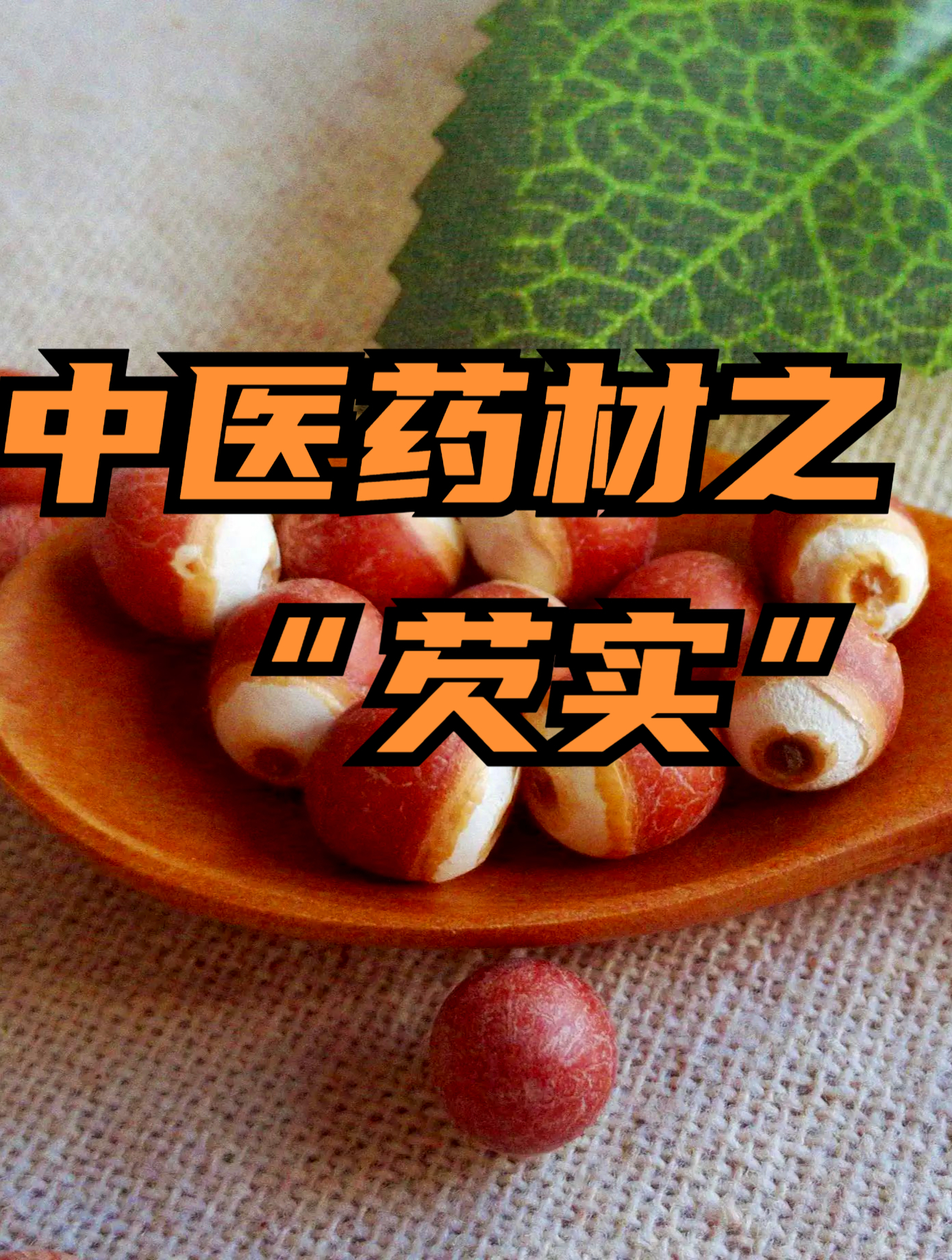中医药材之水中仙子芡实!别名:鸡头米