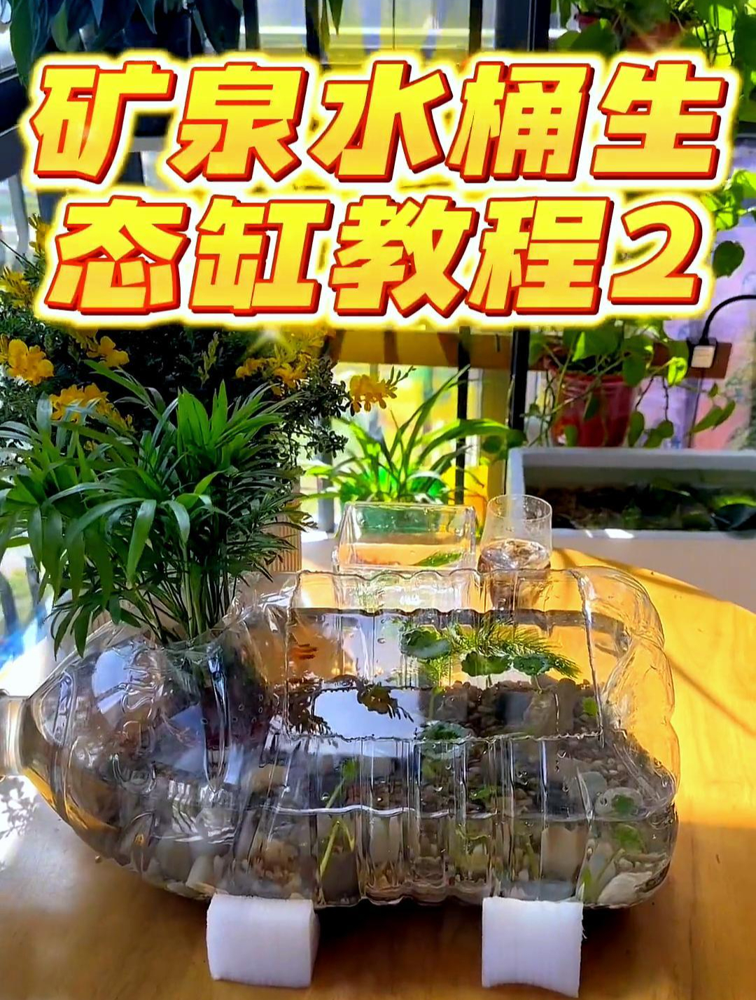 没钱买鱼缸了!自己做了一个竟然比买的还漂亮!