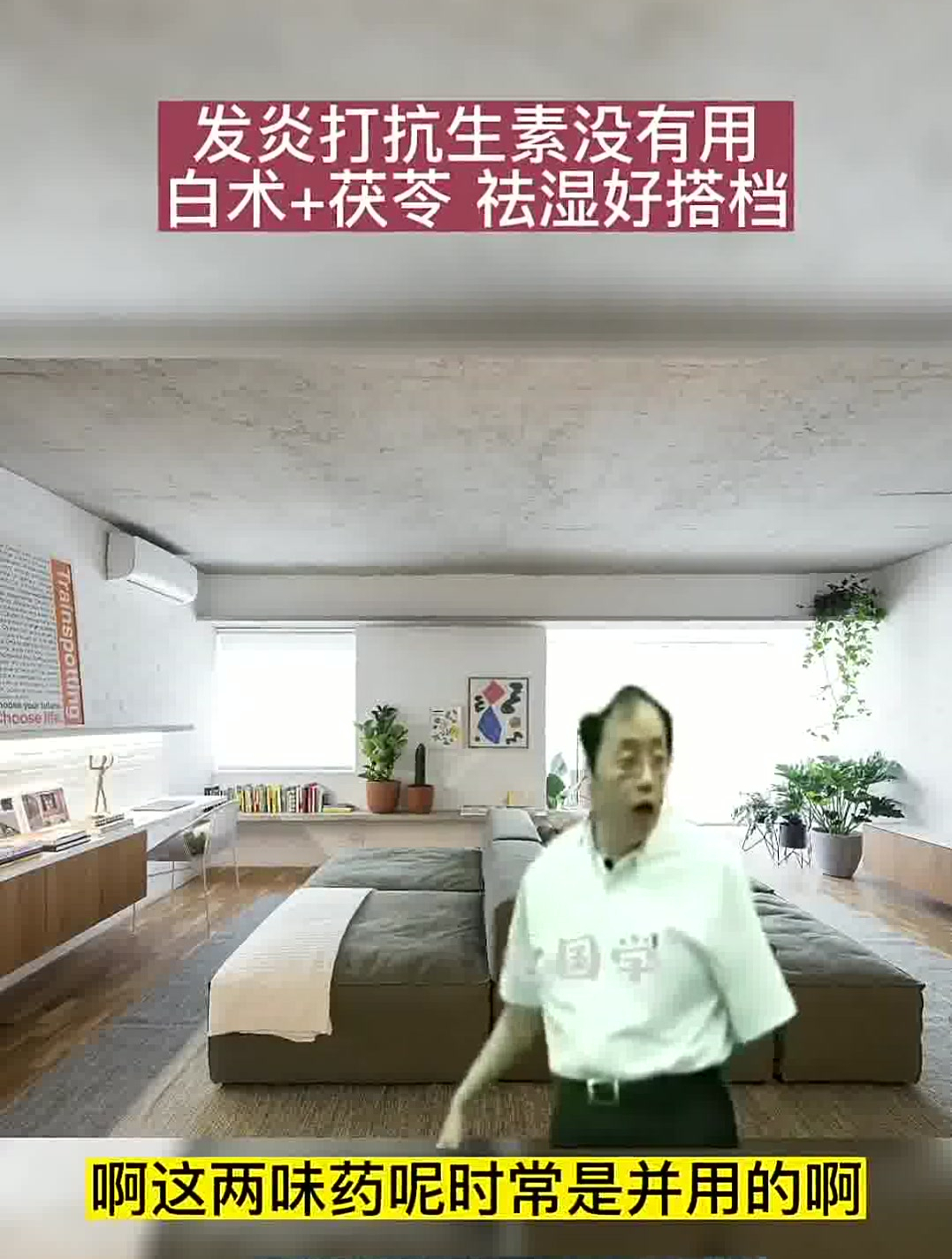 倪海厦:发炎打抗生素没有用,白术+茯苓,祛湿好搭档!