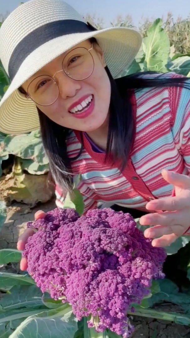 身为北方的我,第一次见还有“紫色”的菜花,它居然含有花青素!