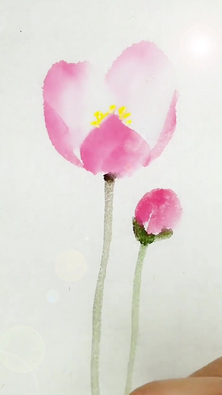 传统国画:国画写意鹅掌草画法