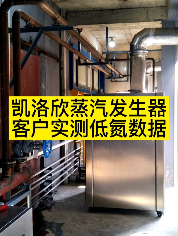 凯洛欣蒸汽发生可以做到低氮吗
