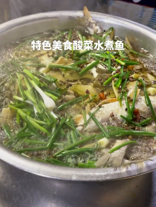 美食创作人 重庆特色美食 水煮酸菜鱼
