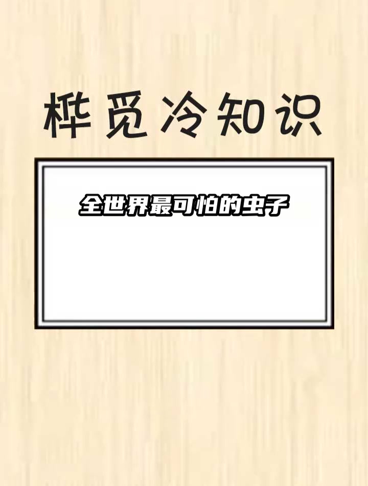 全世界最可怕的虫子