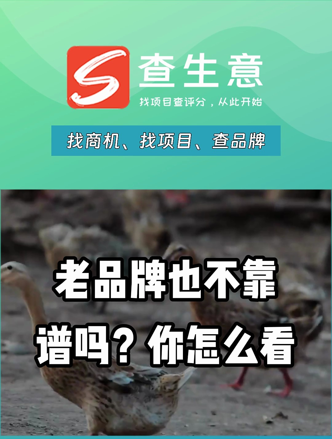 老品牌留夫鸭加盟靠谱吗?优质品牌值得信赖!