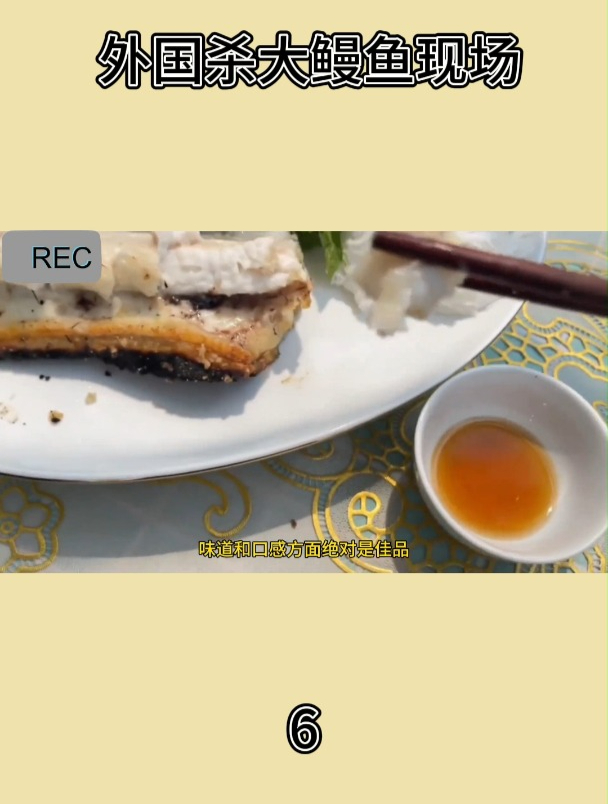 外国杀大鳗鱼现场6