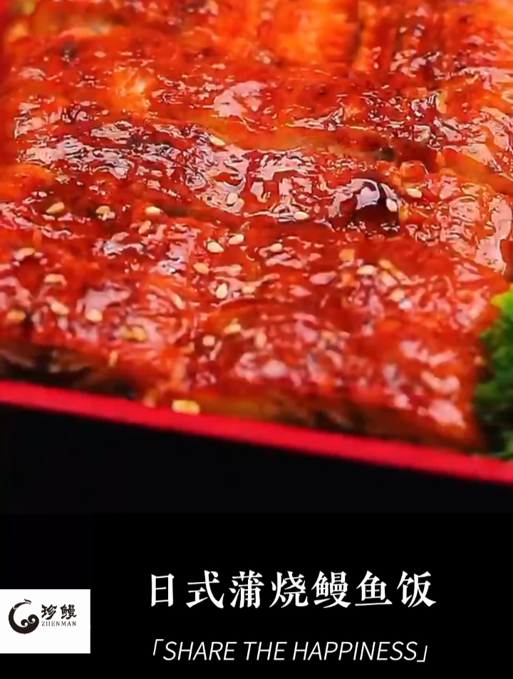 日式蒲烧鳗鱼饭-幸福的味道