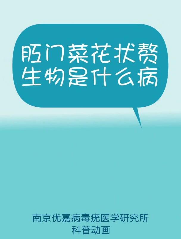 菜花赘生物是什么