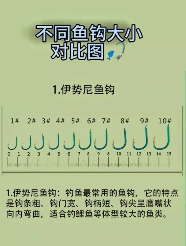总是担心选错鱼钩了,这五张图快速对比鱼钩大小!