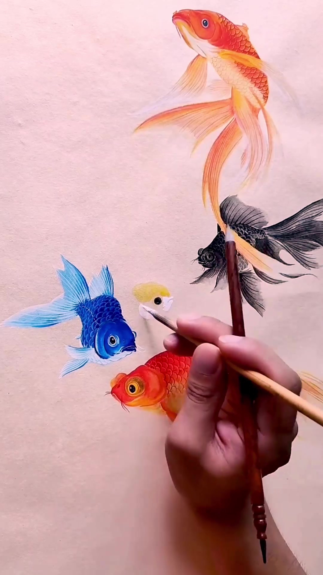 画一条白色的金鱼