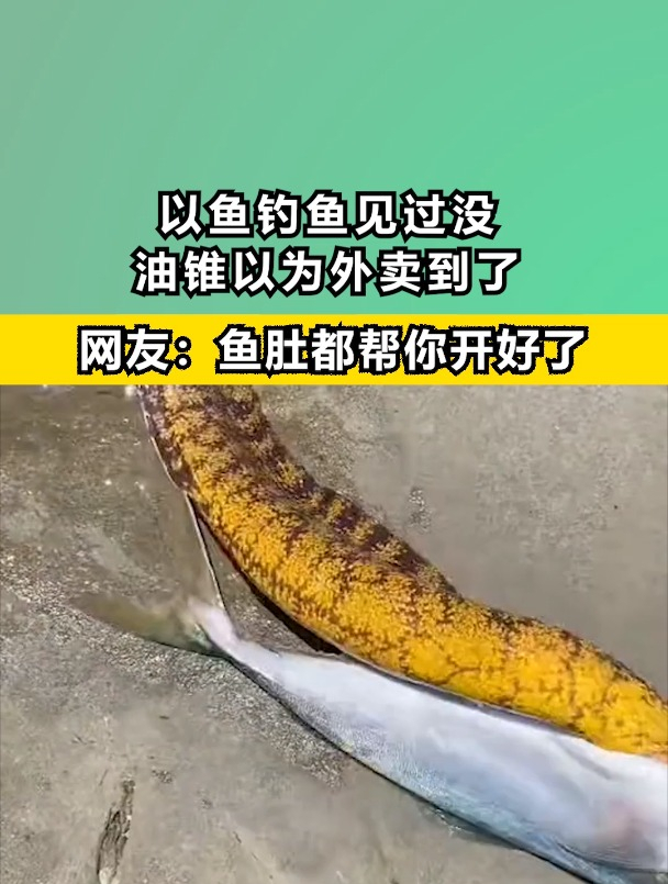 以鱼钓鱼见过没,油锥以为外卖到了,网友:鱼肚都帮你开好了!