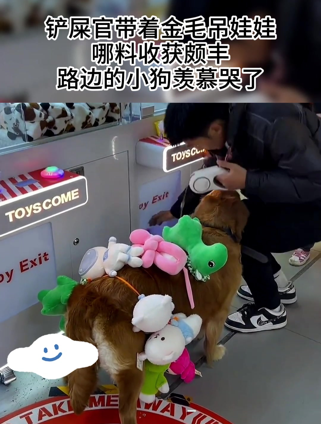 铲屎官带着金毛吊娃娃,哪料收获颇丰,路边的小狗羡慕哭了