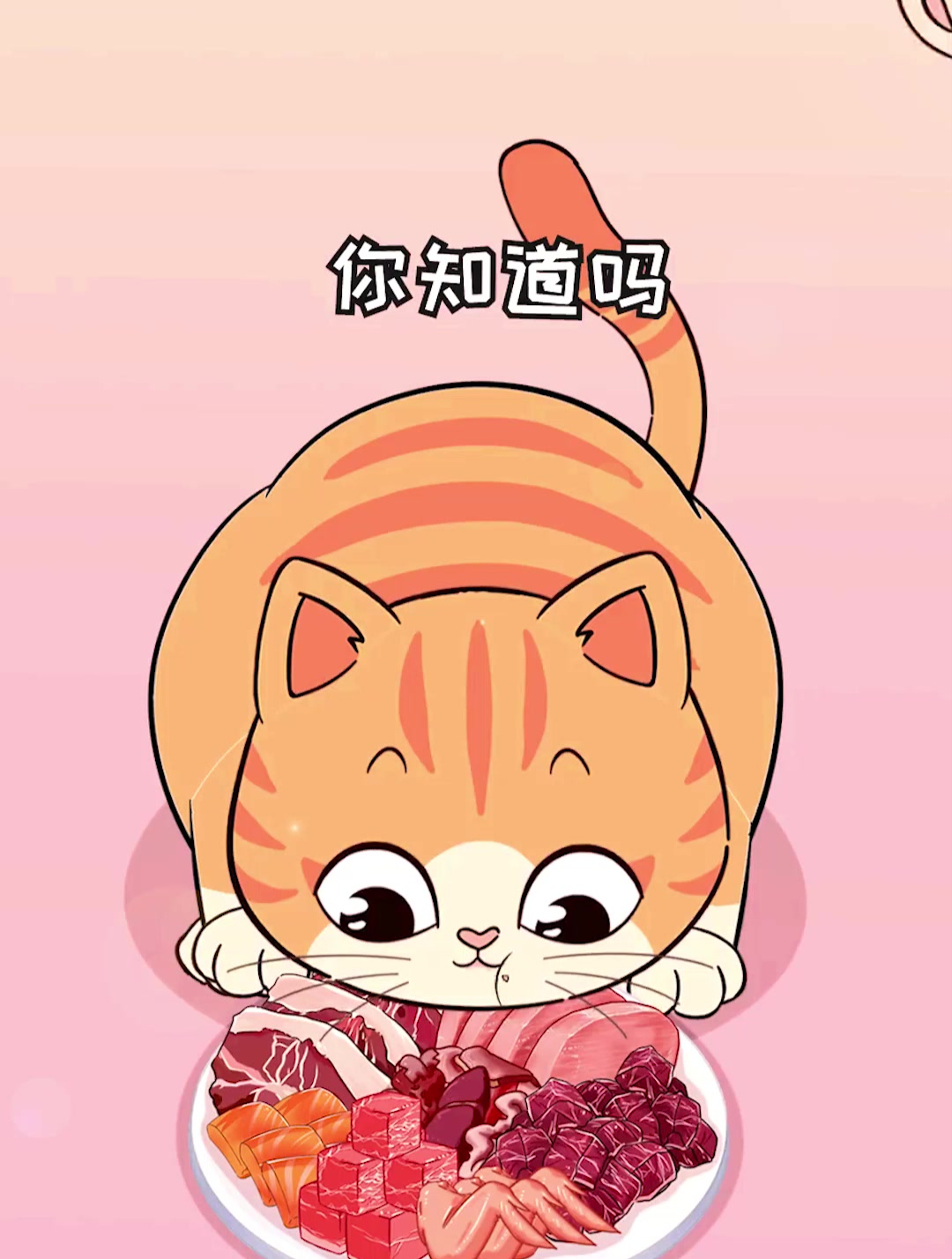 猫吃生骨肉,比猫粮更好