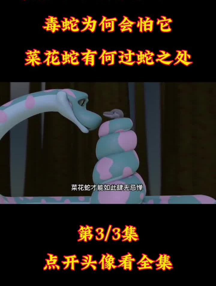 菜花蛇为何是百蛇之王?毒蛇为何会怕它