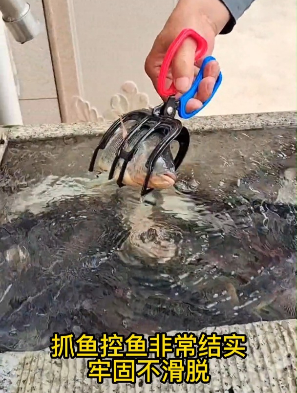 你还在徒手抓鱼吗?不脏手金属鱼夹子,抓鱼神器多齿夹鱼钳子