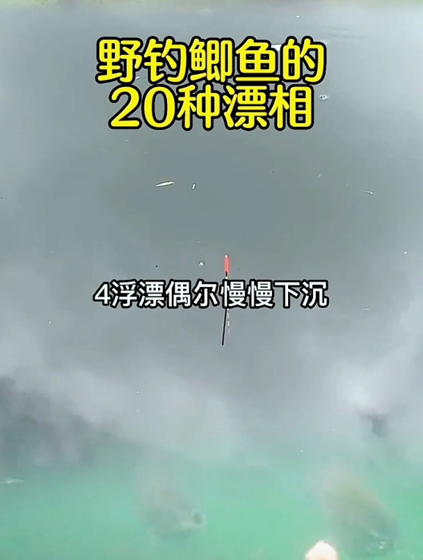 调漂一方面,“抓口”很关键,大鱼上钩的这20种漂相千万别错过!