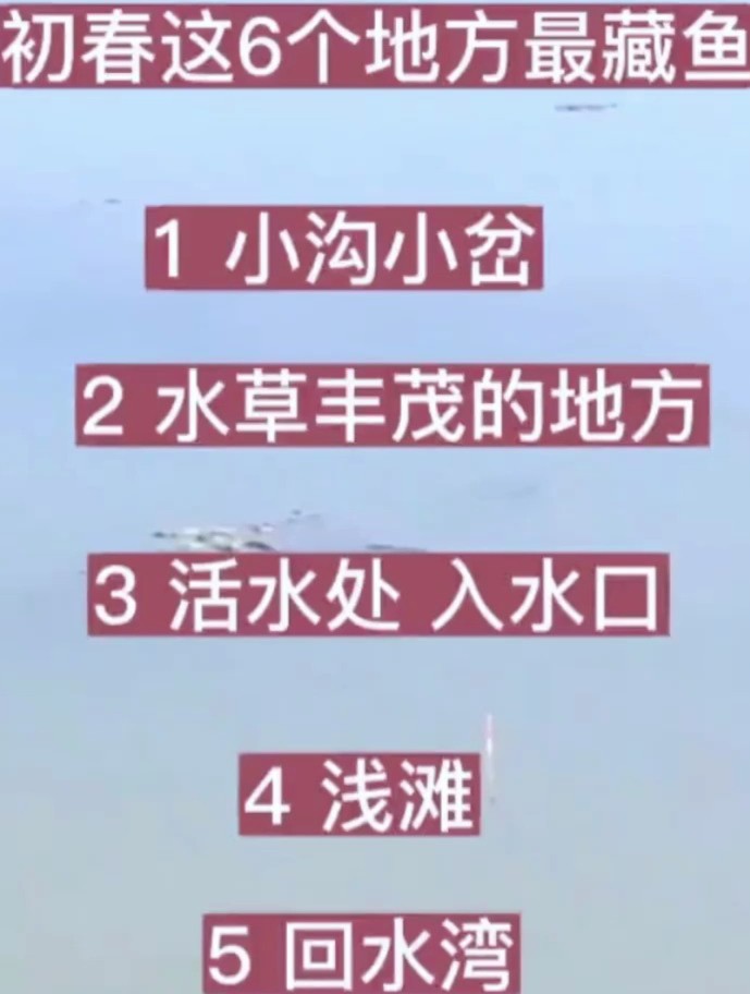 你知道鱼儿都藏在哪里吗?秋季春季都一样!