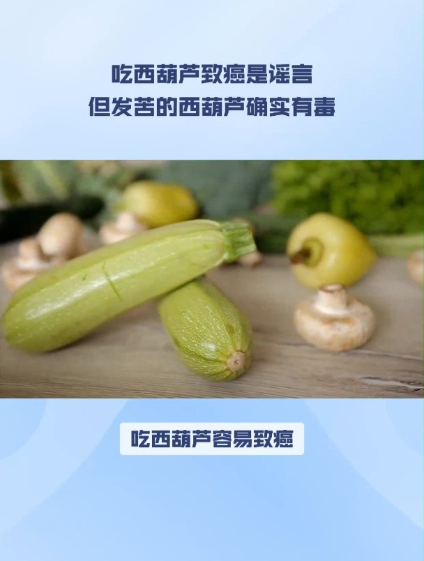 西葫芦致癌蔬菜?真相是这样的