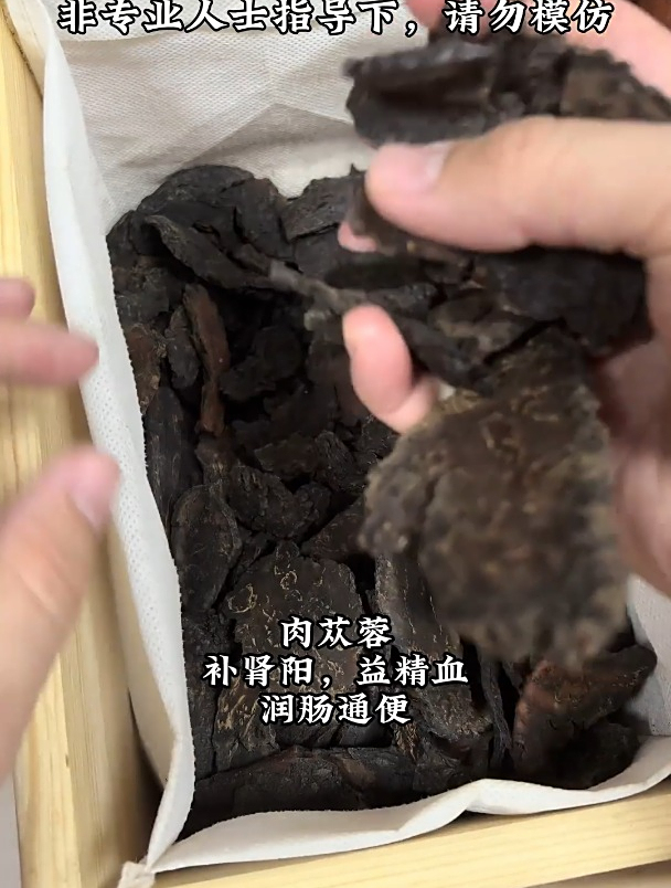 中药科普——肉苁蓉