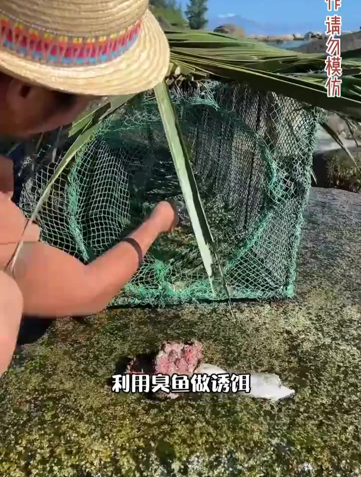 海岛冒险60天第八集!小伙自制巨型鱼笼,下海捕大鱼