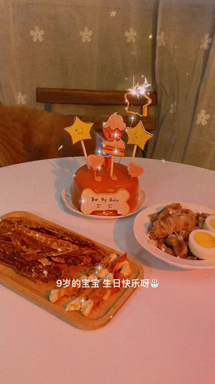 宠物生日蛋糕看着就很不错啊!