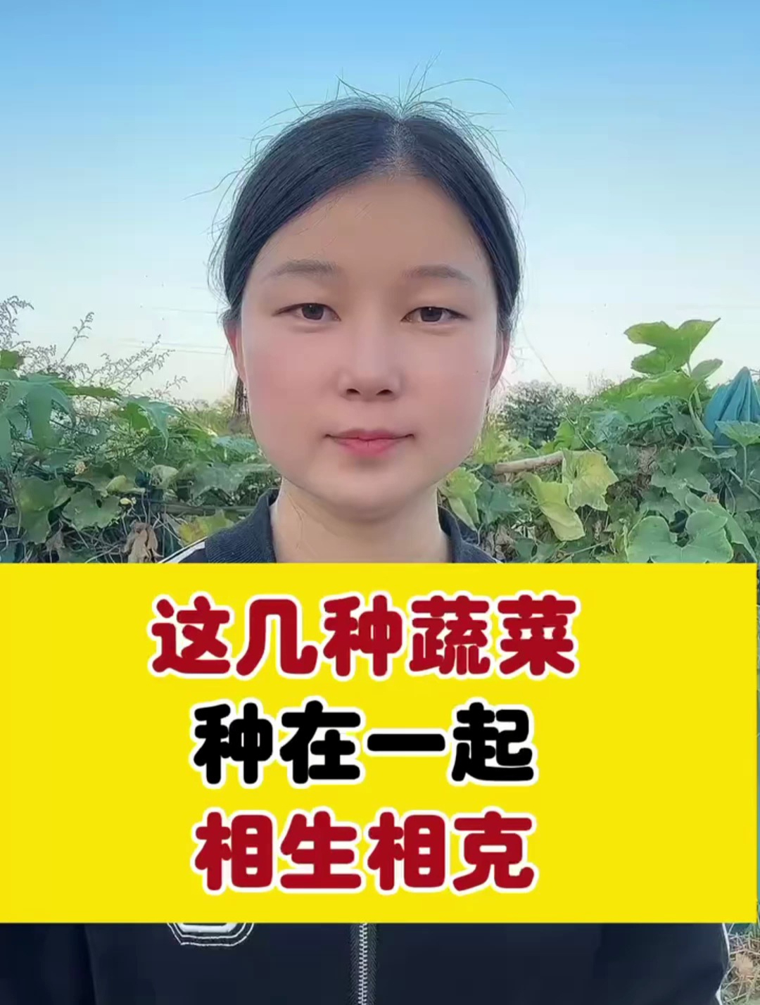 这几种蔬菜种在一起,相生相克