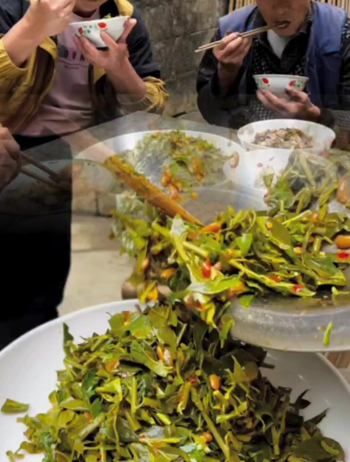 山毛野菜!你们吃过吗?