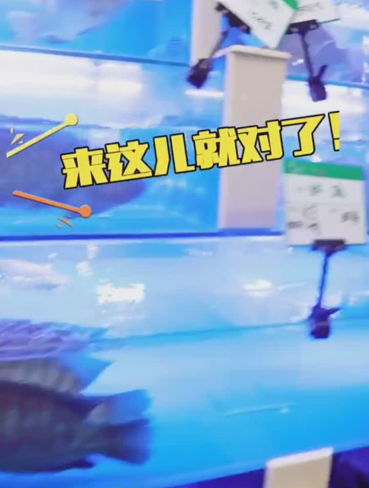 这些特别的美食你吃过没有?美食知味苑·本味