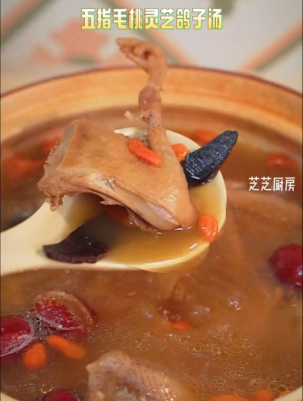 春季的天气反复多变,给家人多煲汤水~五指毛桃灵芝鸽子汤!