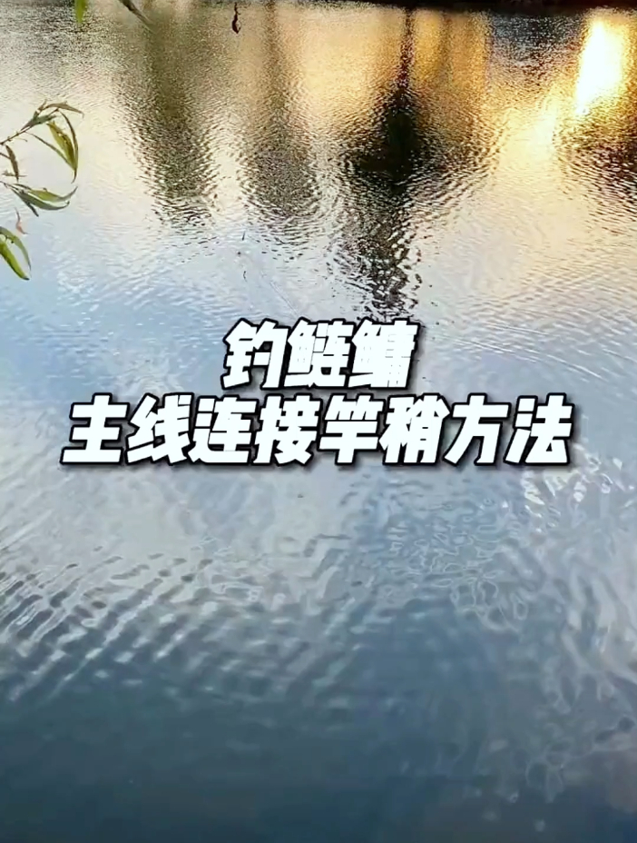 钓鲢鳙,主线连接竿梢方法!