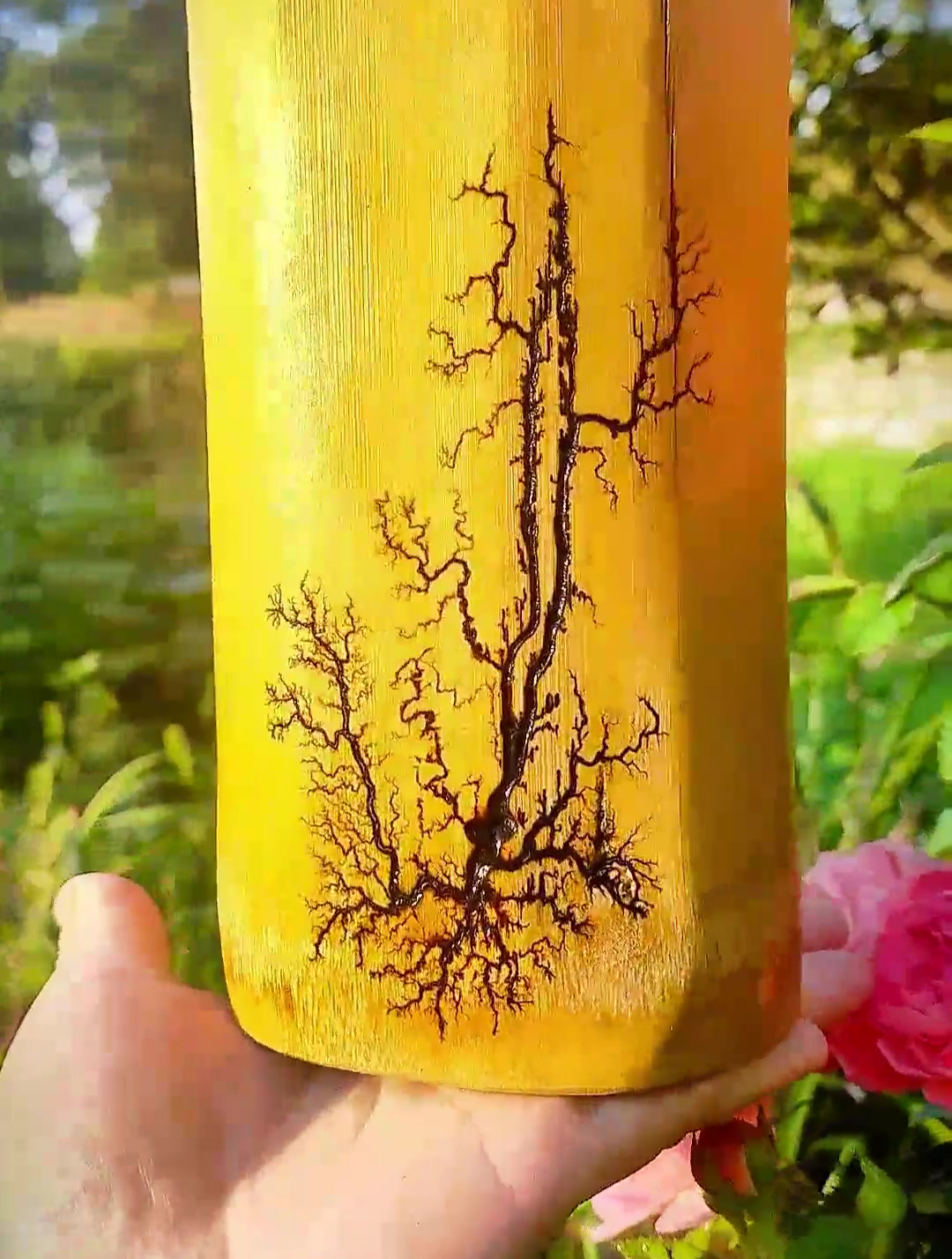 纯手工打造 多肉花盆 盆景 花盆 花卉绿植