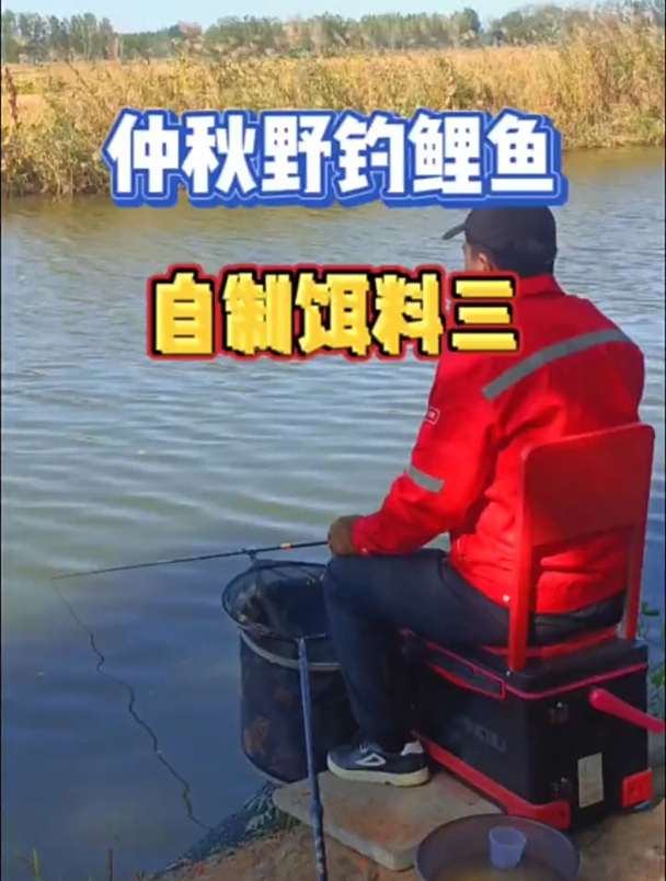 用菜籽饼自制的饵料还可以野钓鲤鱼,这个配方有谁知道
