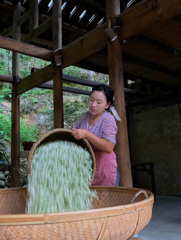采茶 制茶的详细过程