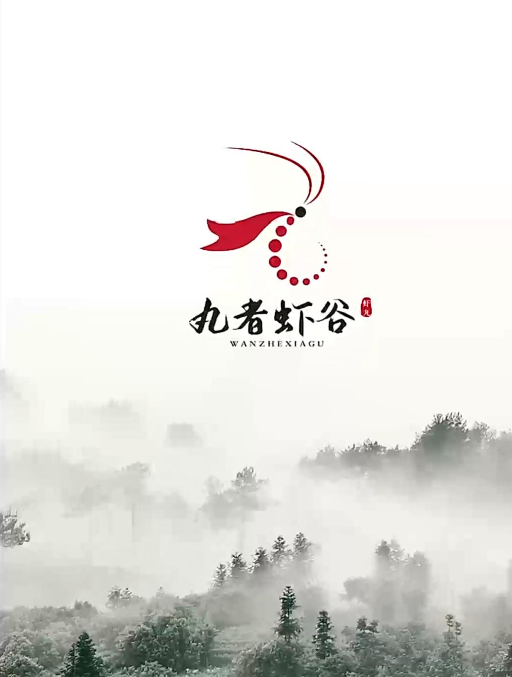 最有虾气的logo,要求体现王者气息,你们觉得如何?