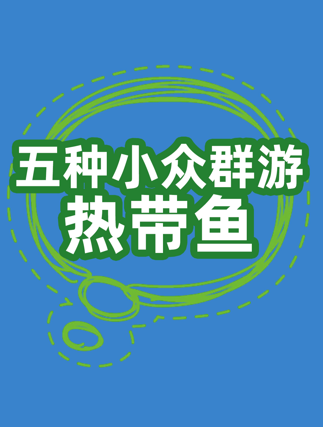 五种小众群游热带鱼,让你的鱼缸更加夺目!
