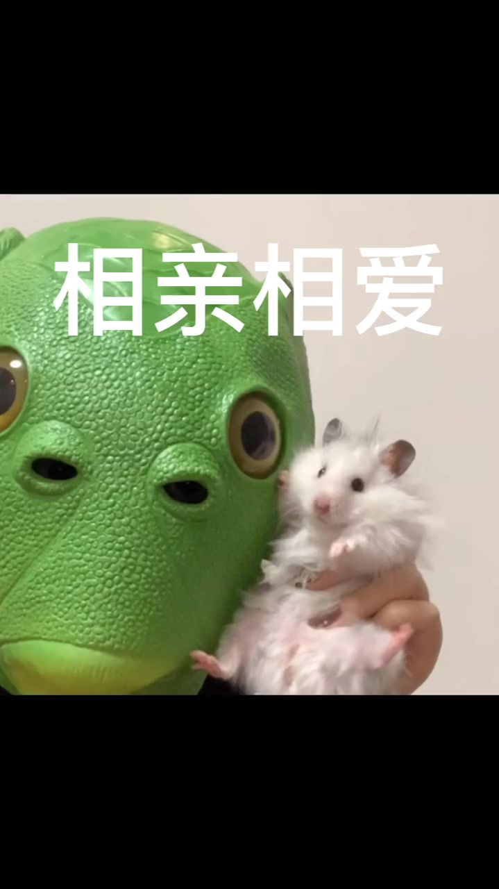 绿头鱼我来晚了哈哈