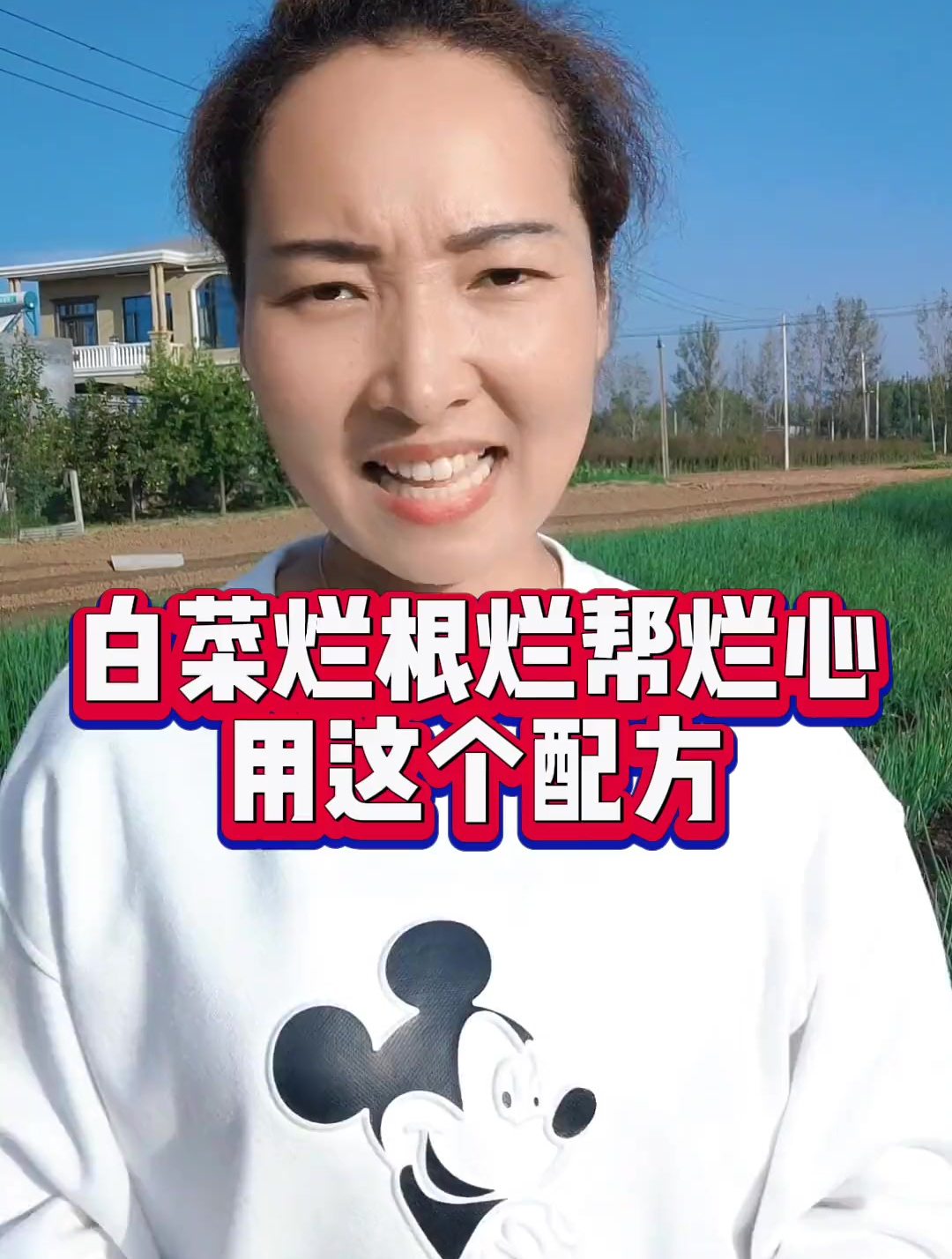 白菜烂根烂帮烂心,用这个方法