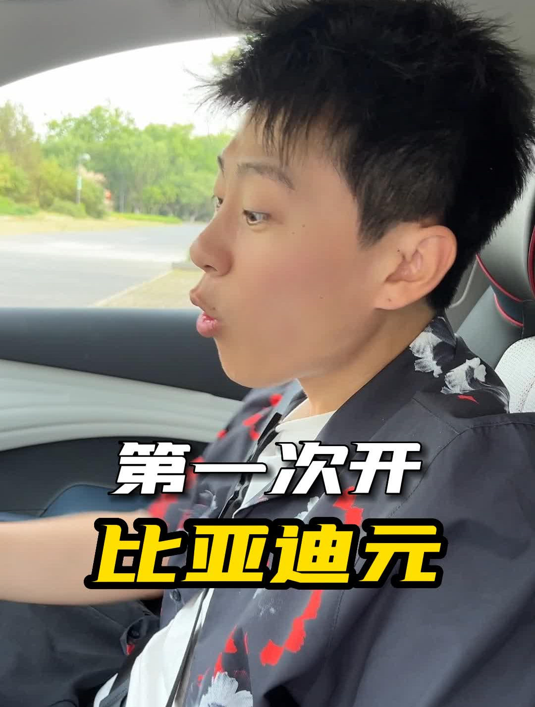 6.10亮哥-比亚迪元(发这版)