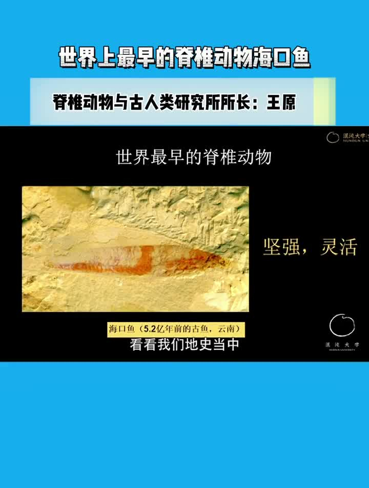 世界上最早的脊椎动物