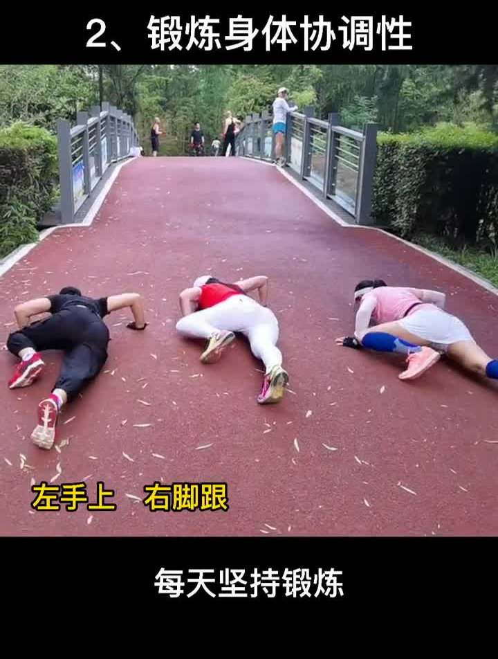 今天好多粉丝留言说鳄鱼爬都锻炼什么?
