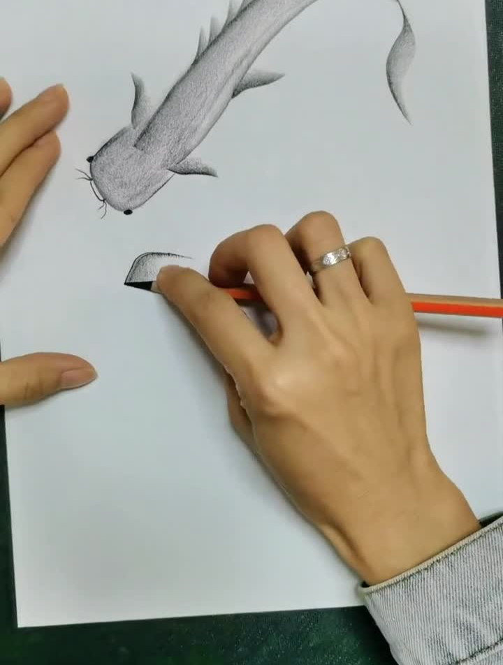 《年年有余》炭笔绘画作品,炭笔1分钟简单画年年有鱼画