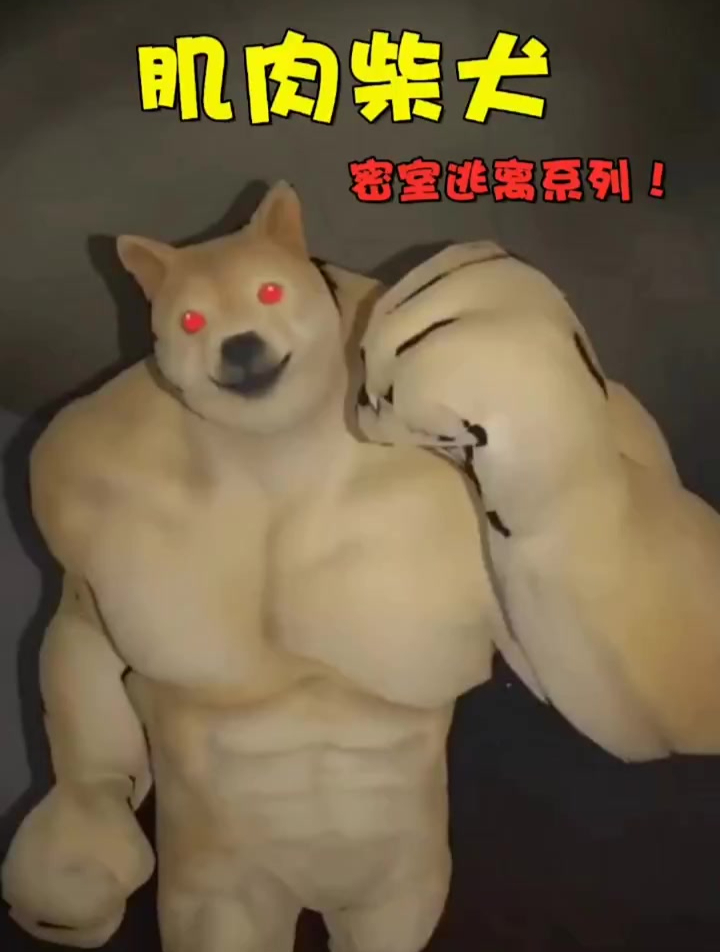 你见过肌肉柴犬吗?游戏解说 单机游戏