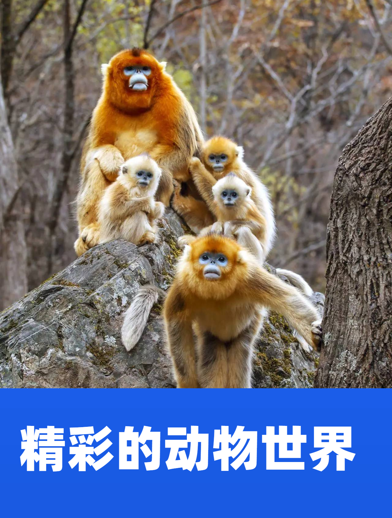 鳄鱼最后的晚餐,一条臭水沟,演尽世间百态6