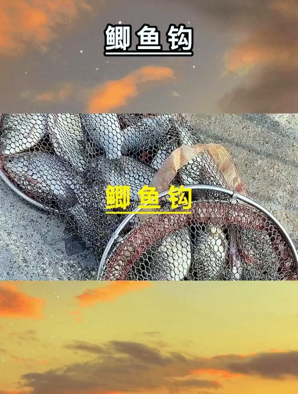 钓鲫鱼应该用什么鱼钩呢?钓鱼高手告诉你,让你钓鲫鱼时更有把握