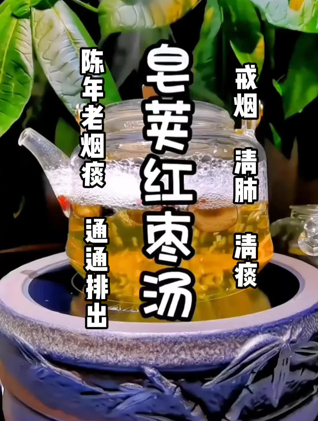 倪海厦老师:分享一个好用的方子,皂荚加红枣熬成汤,清肺又止痰
