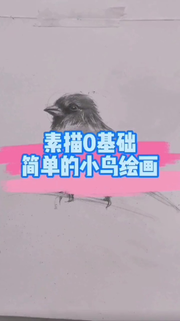 素描0基础,简单的小鸟绘画