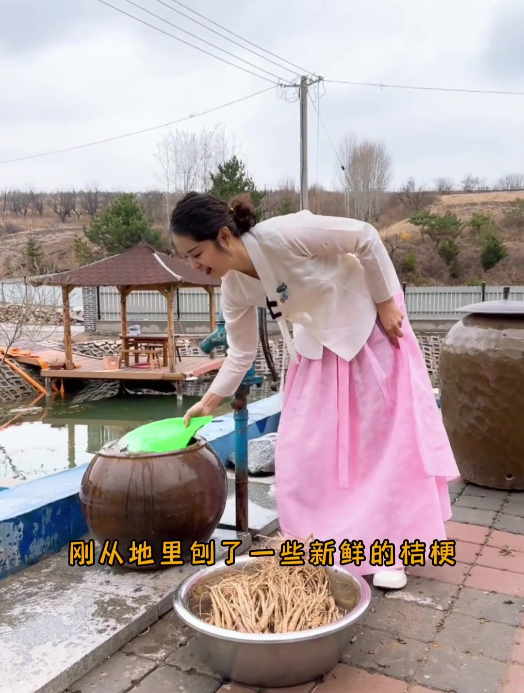 桔梗泡菜