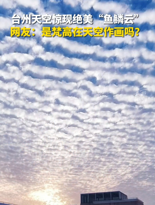 台州绝美“鱼鳞云”,像极了梵高的油画!